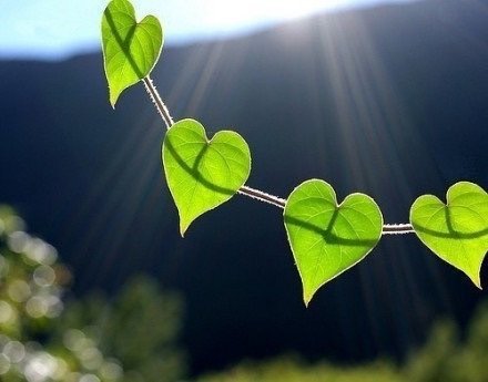 一段醍醐灌顶的话：“极度坦诚的人其实很可怕。一开始，你可能觉得他傻、性子直，但慢
