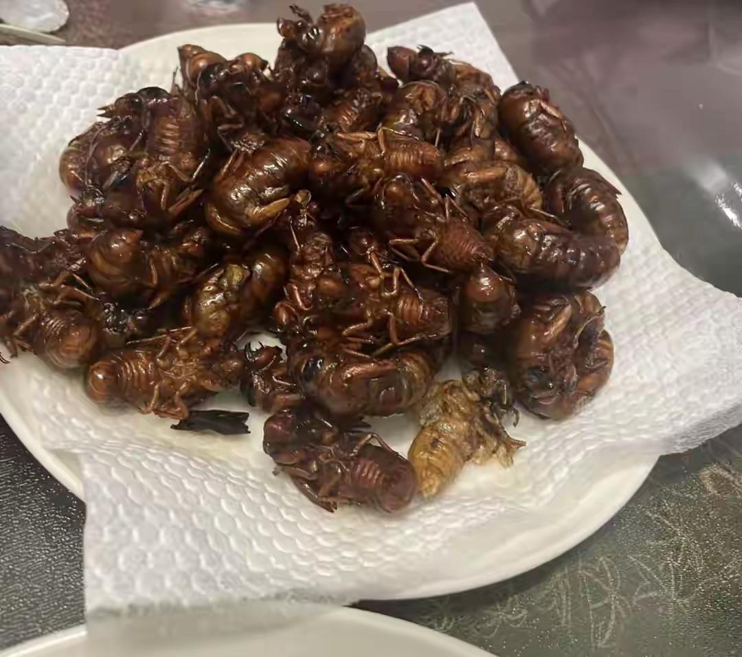 都说这菜好吃，还非常有名，这一盘菜就得几百块钱。
不知道有没有科学依据，就是在地