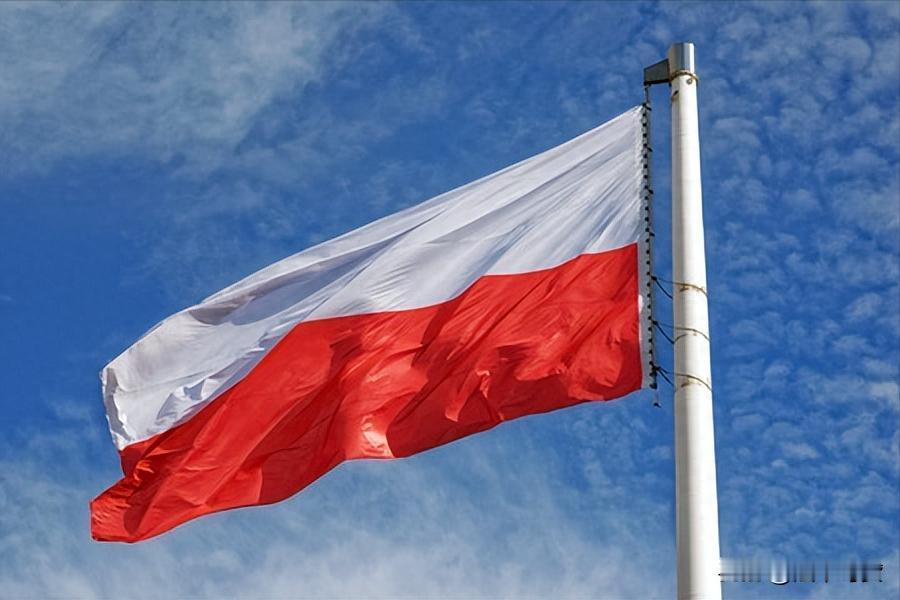 要说对俄罗斯恨得咬牙切齿的国家，乌克兰肯定算一个，可还有个国家恨意一点不输，那就