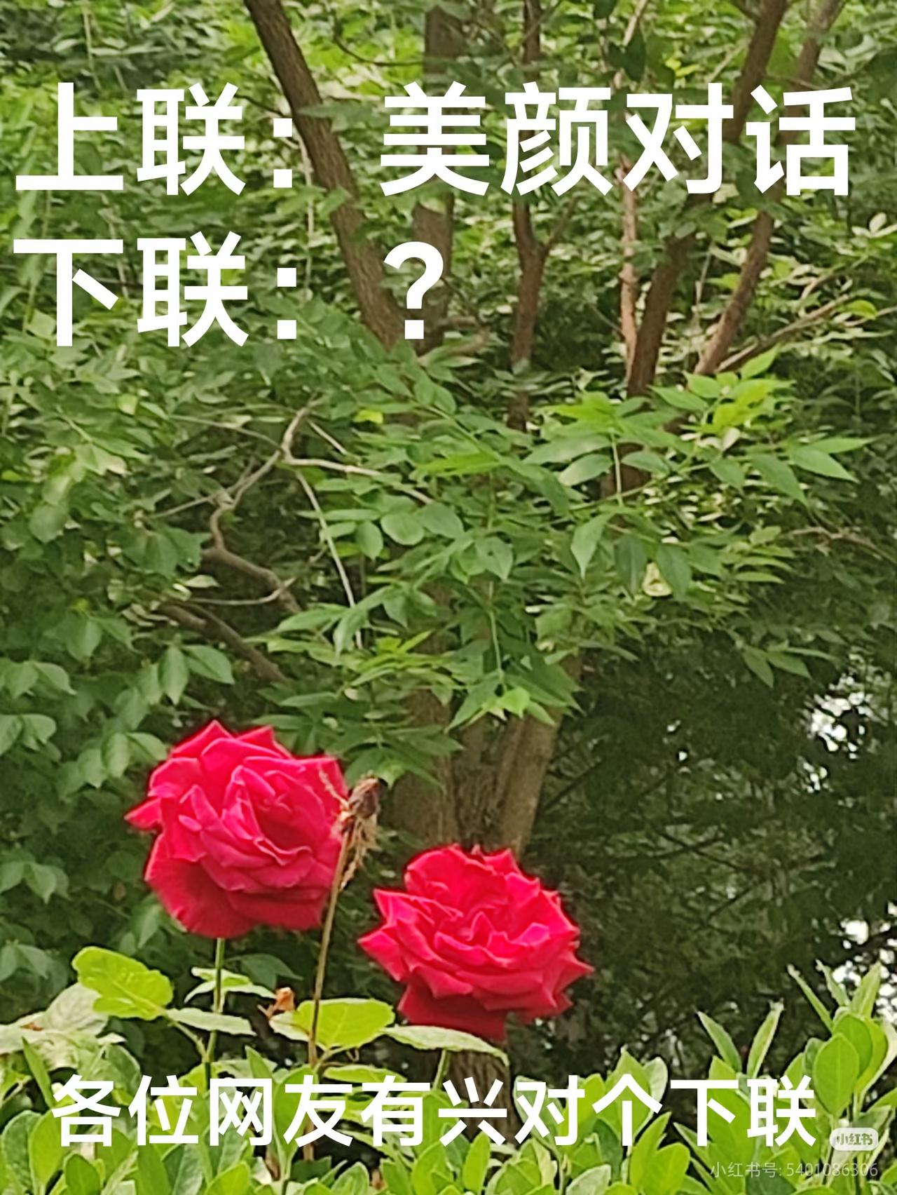 上联：美颜对话，
下联：？