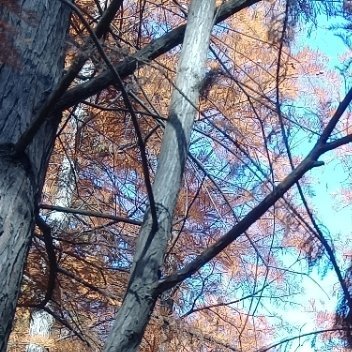 周末大饼一如既往的震荡，没多大操作性可言，放松下自己，晒着免费的太阳，呼吸着免费