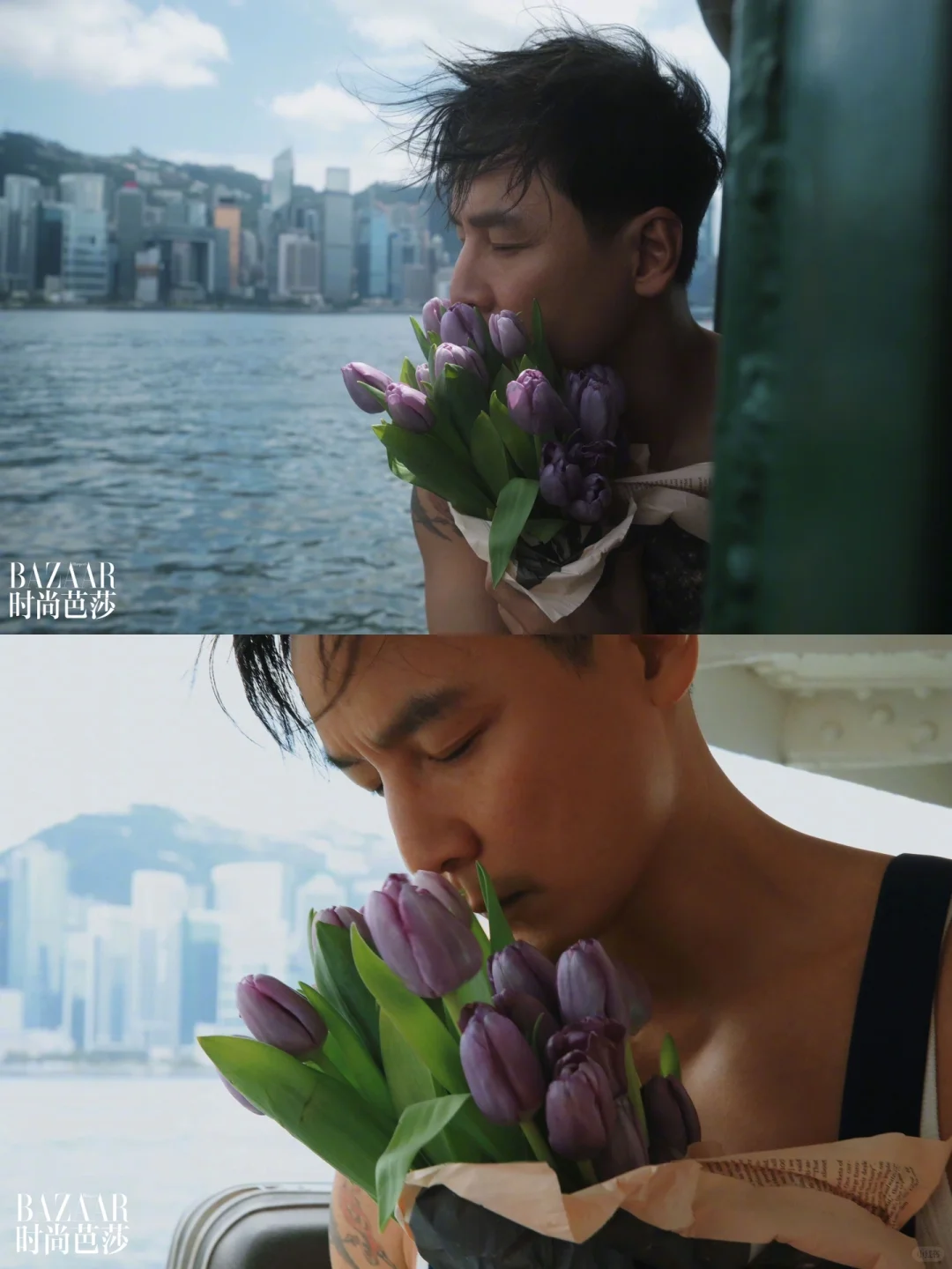 继刘亦菲抱玫瑰的头像后，咱又多了个选择
