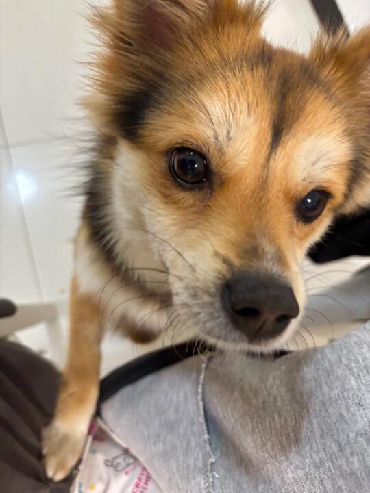 你在吃什么呀我就是看看我一点都不想吃