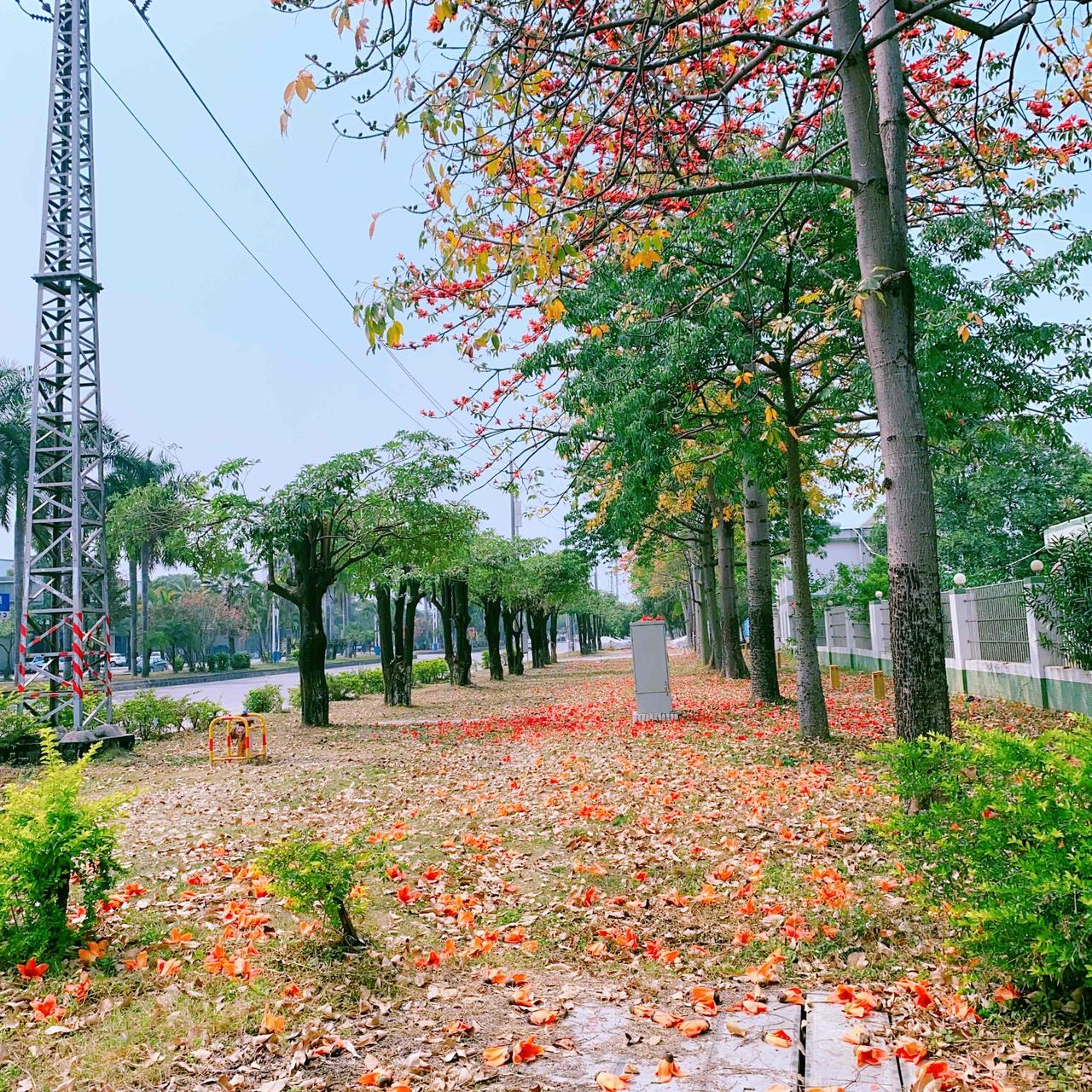 如果你老了，发现晚辈慢慢地开始讨厌你，不好意思，他们早就讨厌你了

正常规律是什