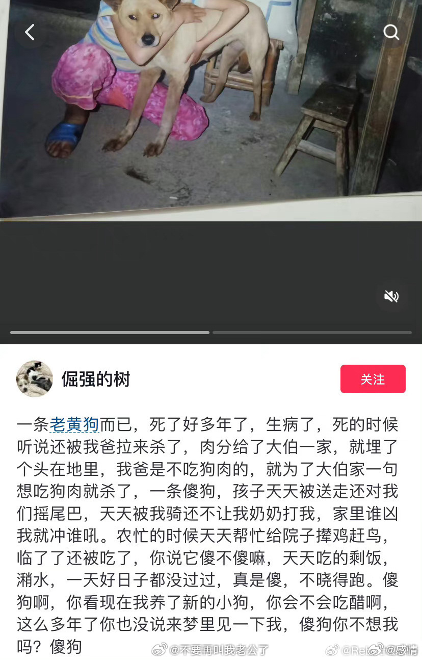 专属于中国孩子的童年阴影 