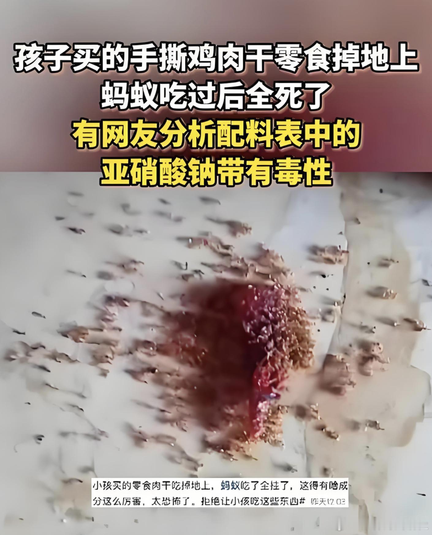 孩子零食肉干掉地上蚂蚁吃完全死了 这事我第一反应是头皮发麻。有宝妈说，孩子吃肉干