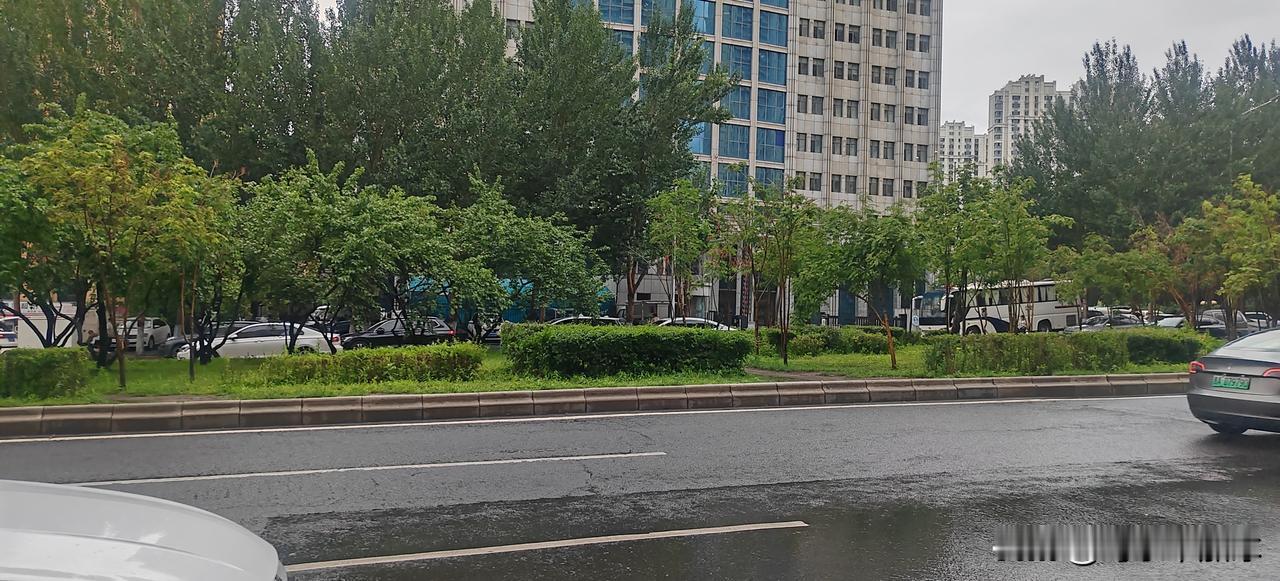 哈尔滨雨天街头也太有生活感了

今天出门赶事儿，出门那会儿天就阴沉沉的，没走几步