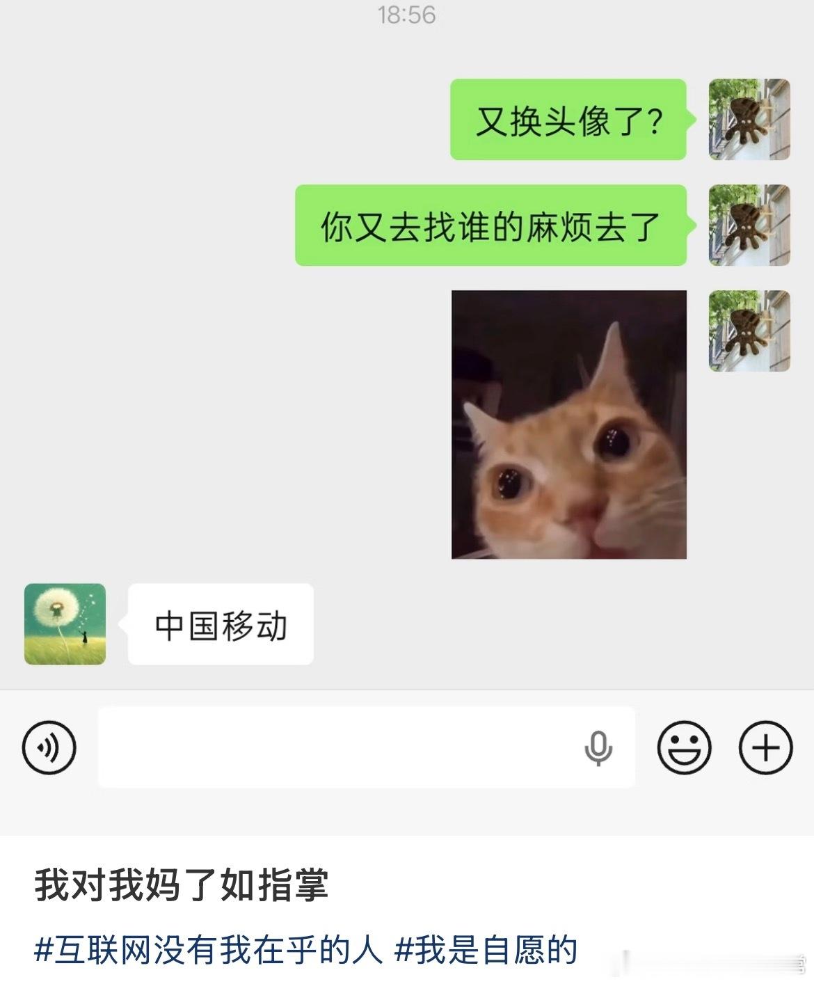 我对我妈的互联网动机了如指掌 