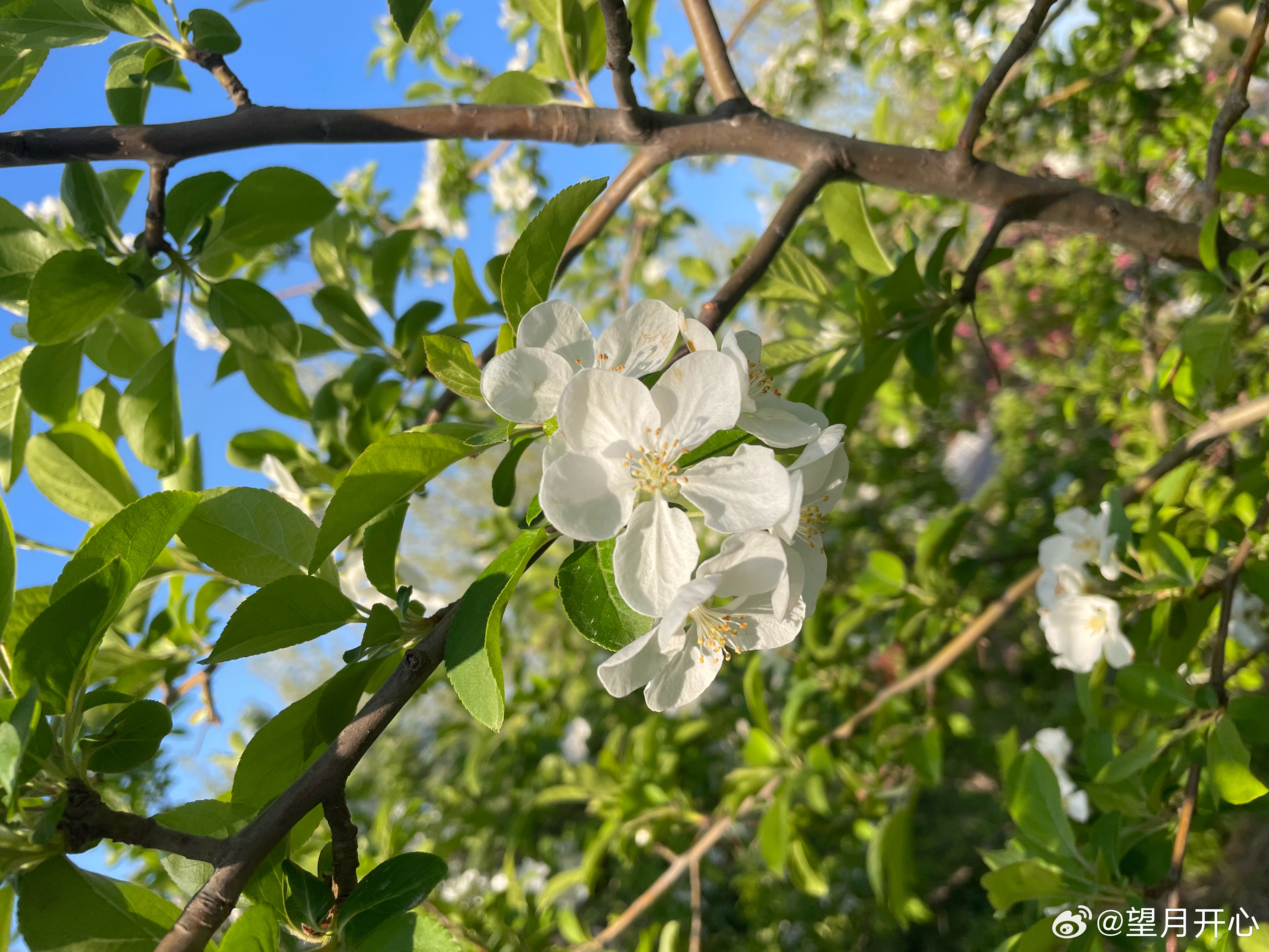 溜溜给你坟头撒的草籽开始发芽了周边的草也开始没过坟头一切都是郁郁葱葱的样子你在汪