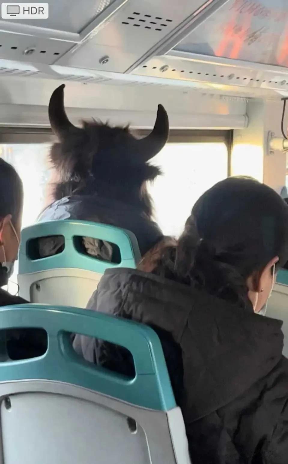 #冬日生活打卡季#
今天来上班。看到了很多不同种类的动物头人身的人。
这天气也太