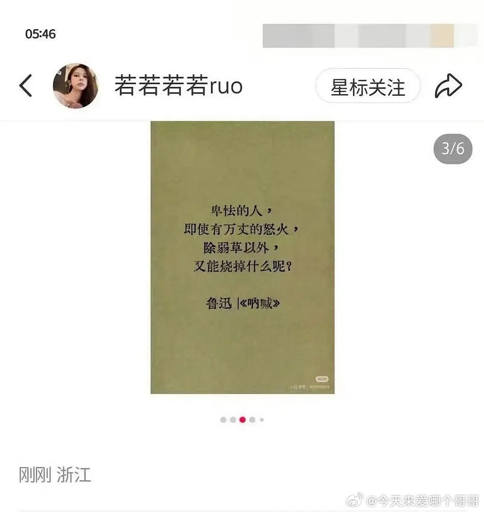 若若这是在骂九成美还是骂吃瓜网友 
