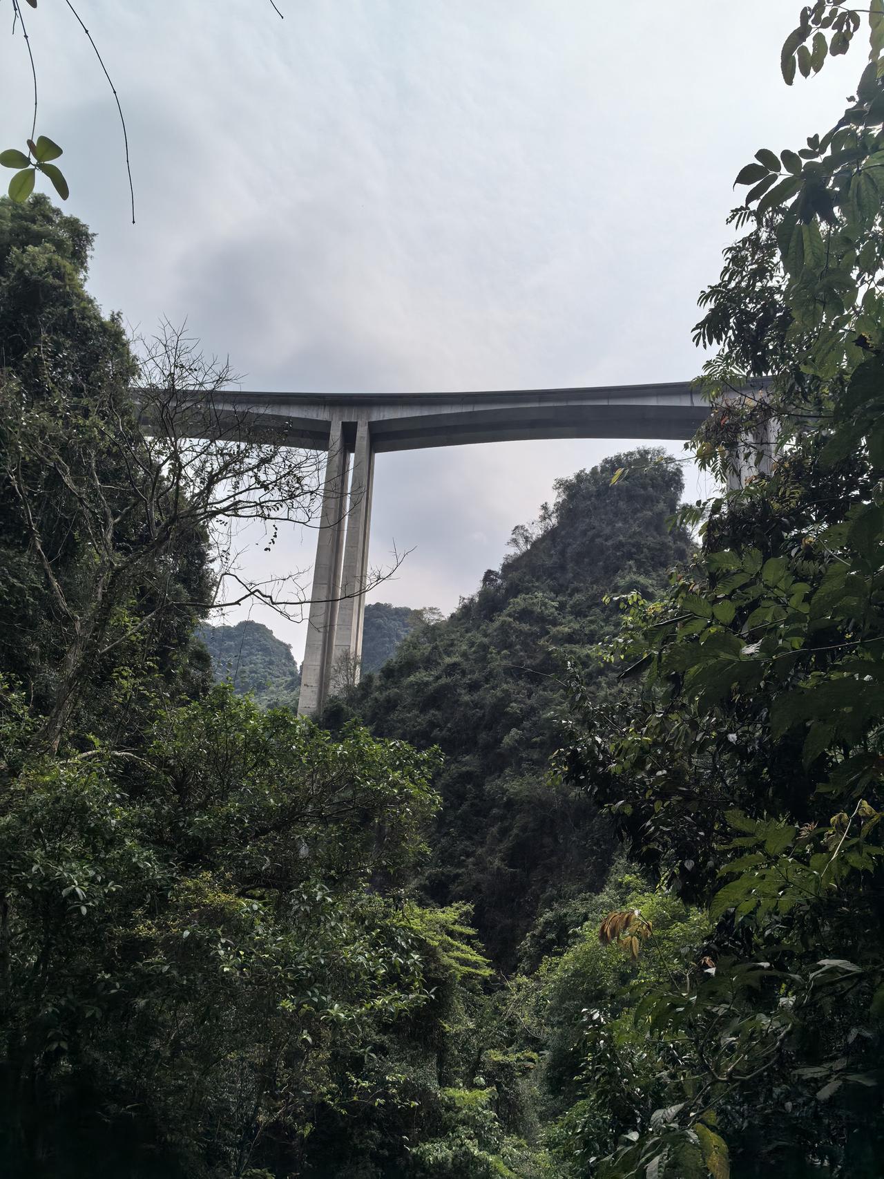 五天的游玩结束了，今晚高铁回深圳，从巴马长寿村，古龙山大峡谷，再穿越中越边境，游