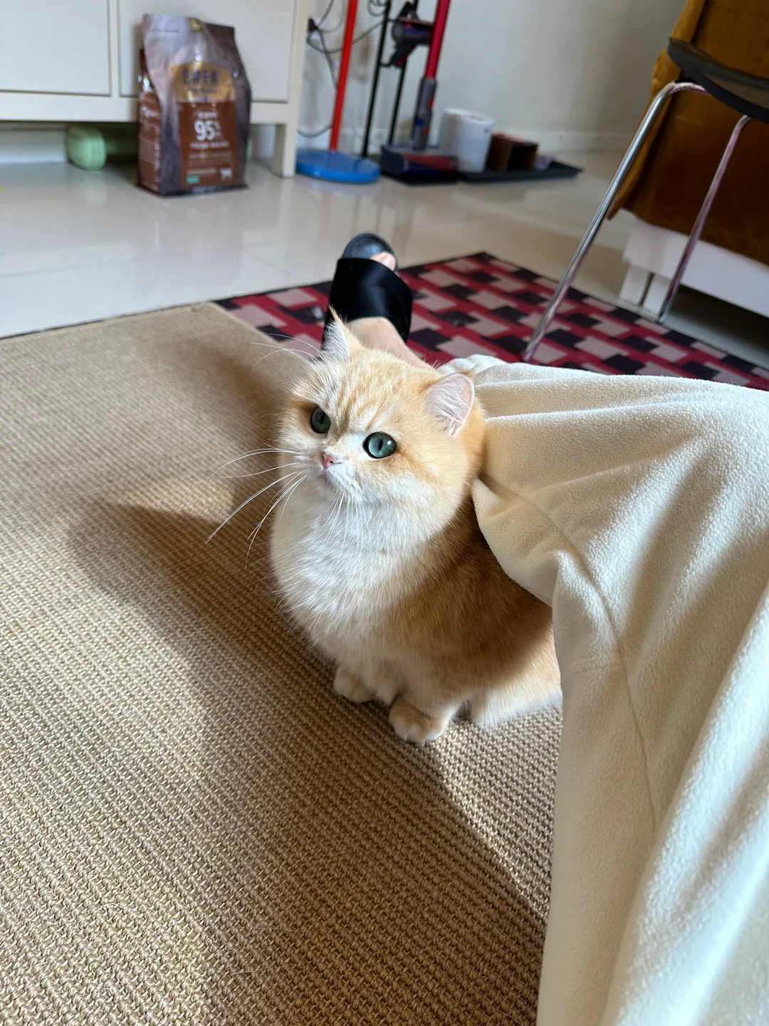 麻麻，脚蹬舒服吗