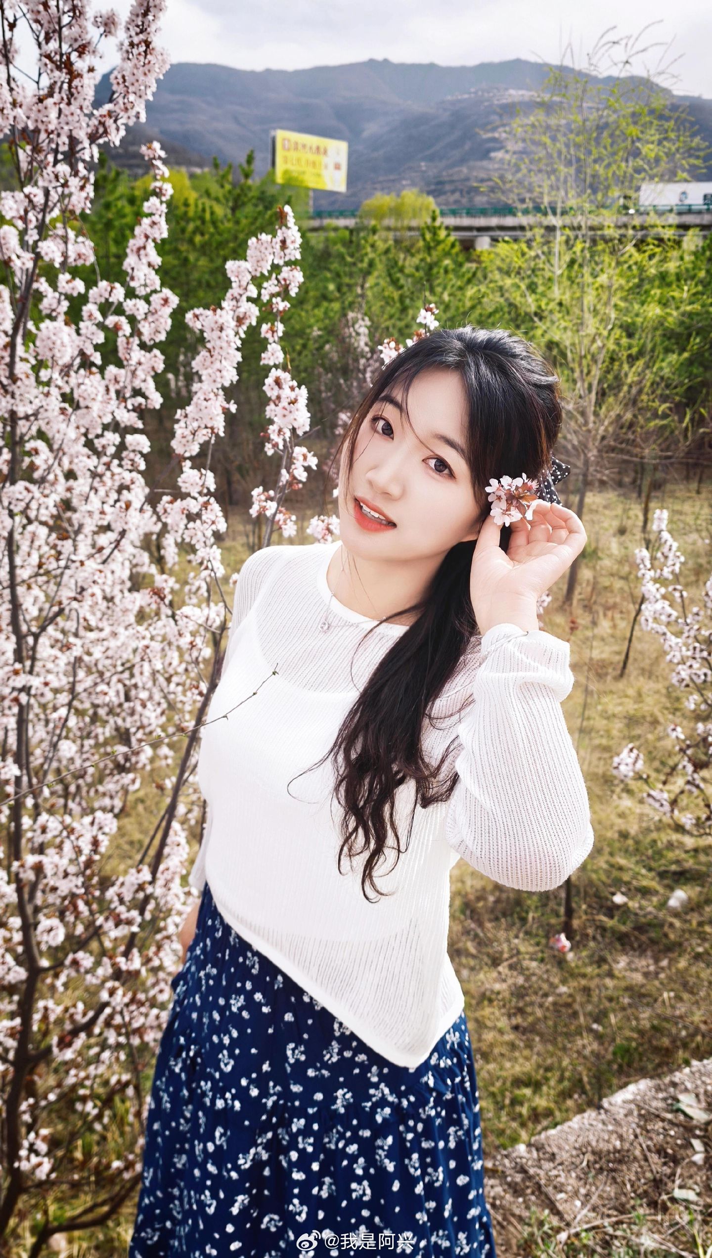 早☀️每日早起打卡