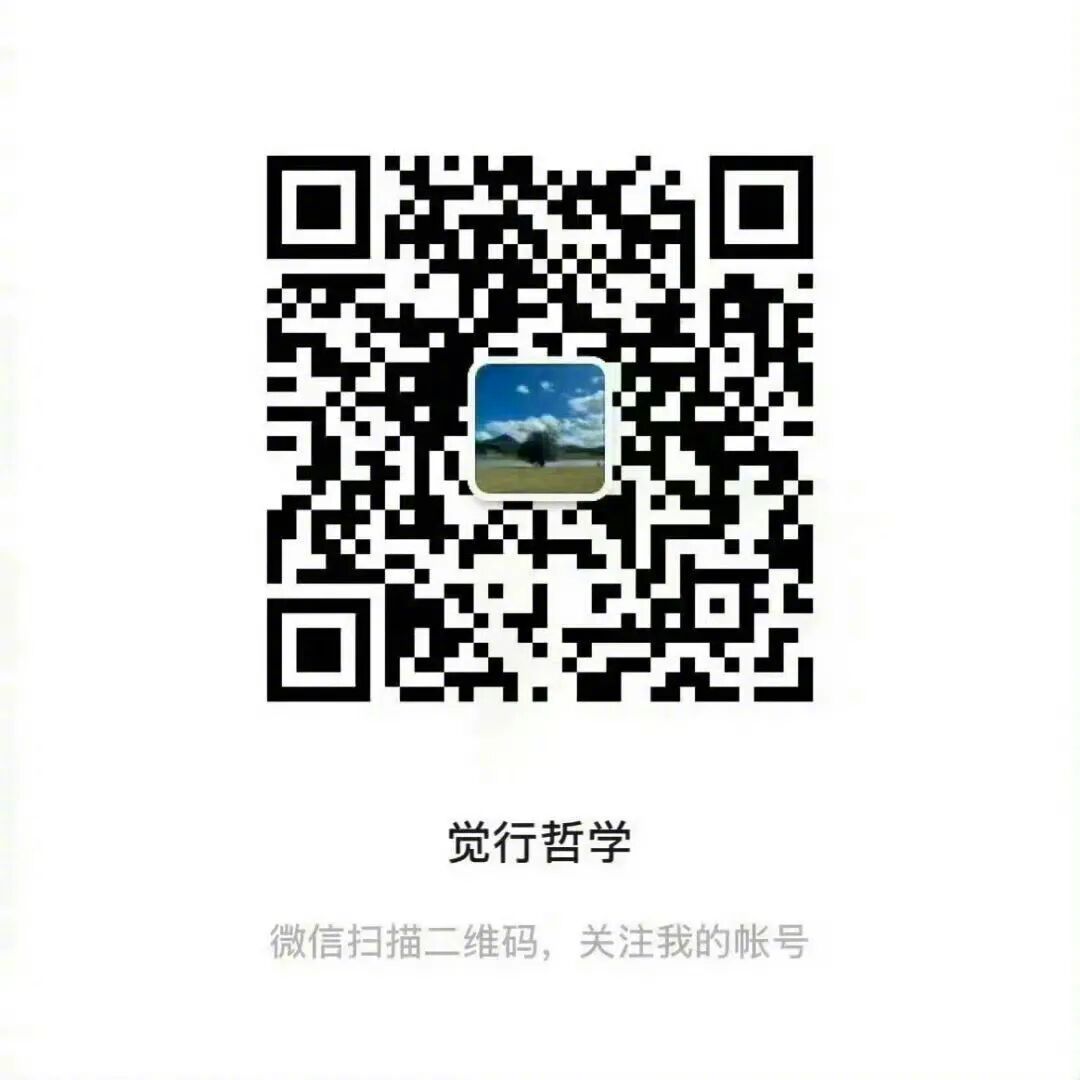 一套非常适合用来落地实践的哲学体系，《觉行哲学》微信公众号启航，欢迎大家关注。 