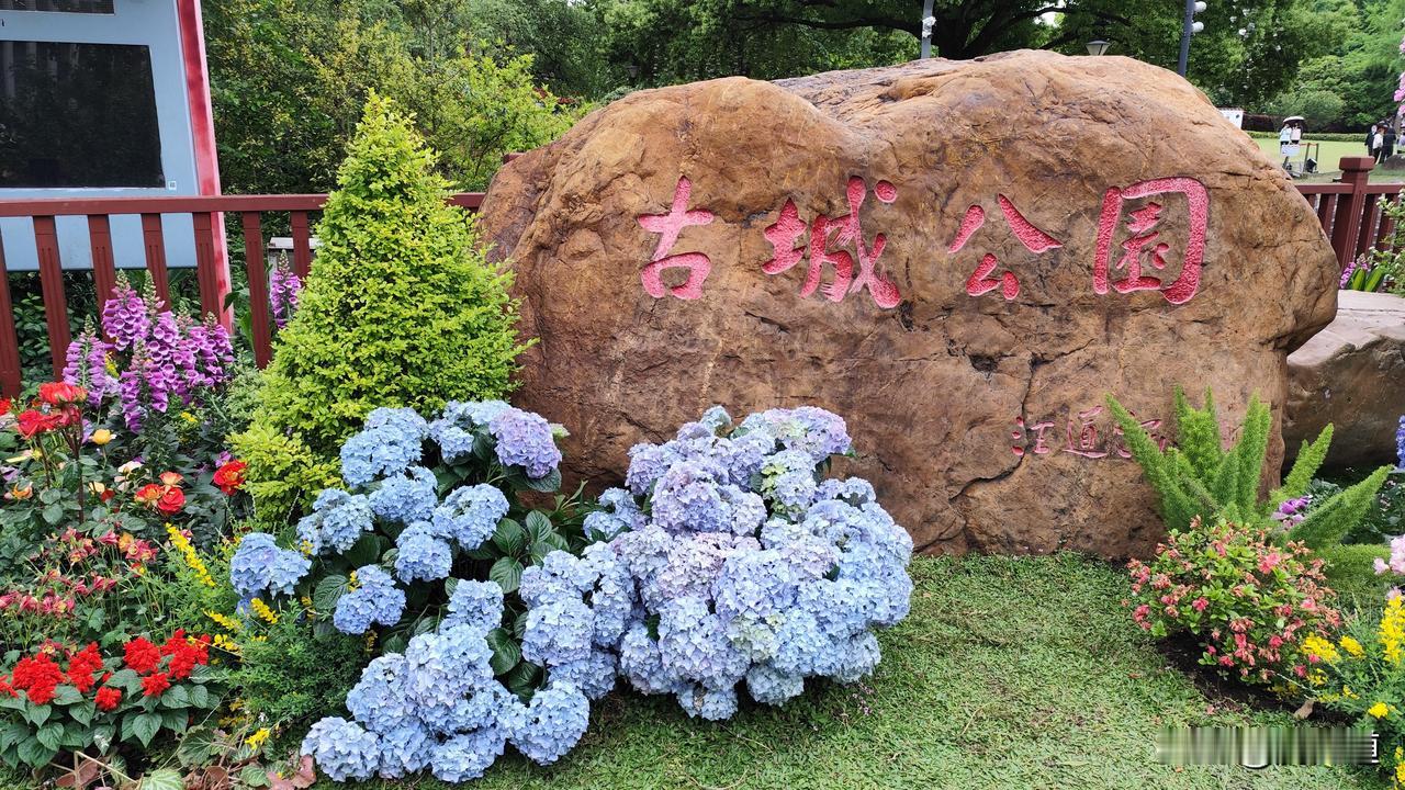 公园美丽景随拍鲜花艳古城