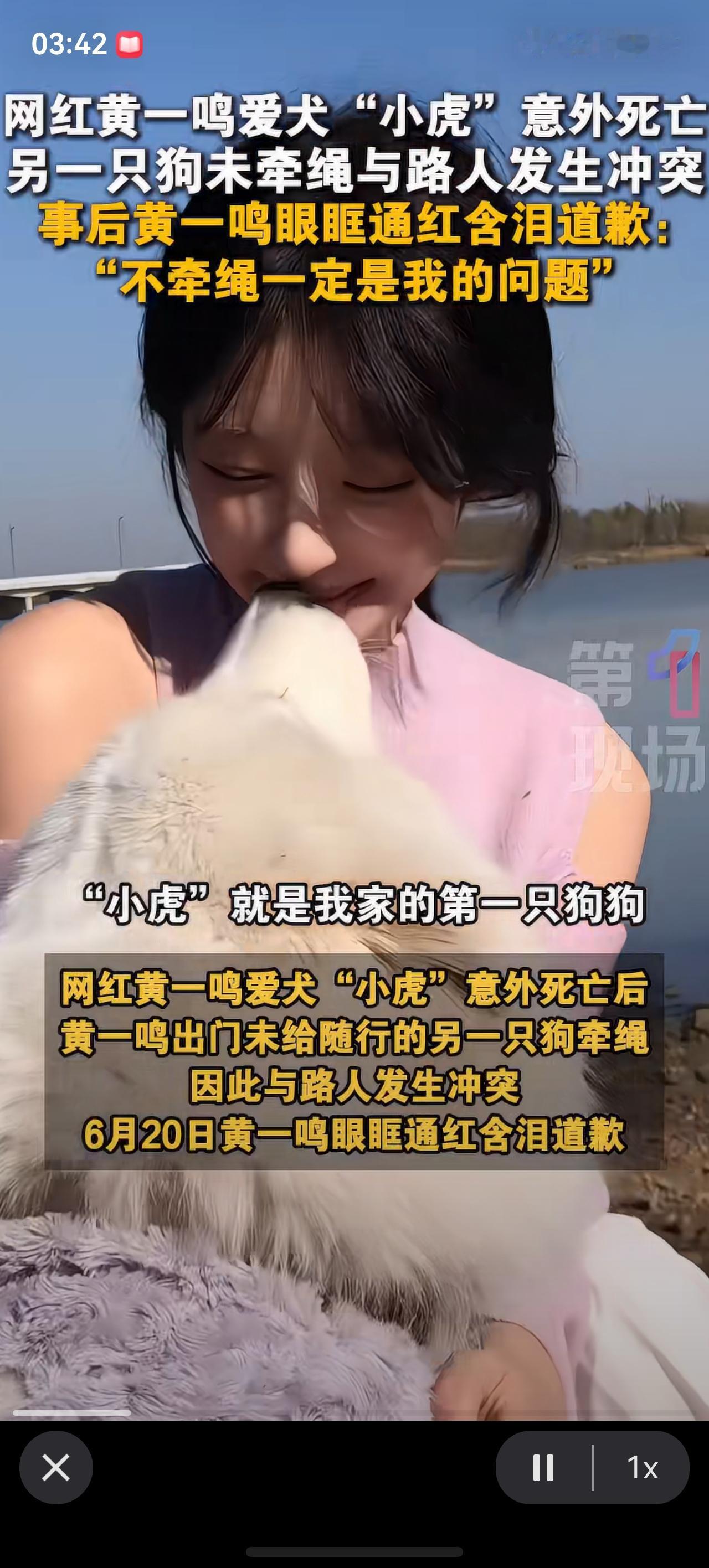 网红黄一鸣哭诉:“不牵绳一定是我的问题。今天早上，小虎就是我家的第一只狗狗，它意