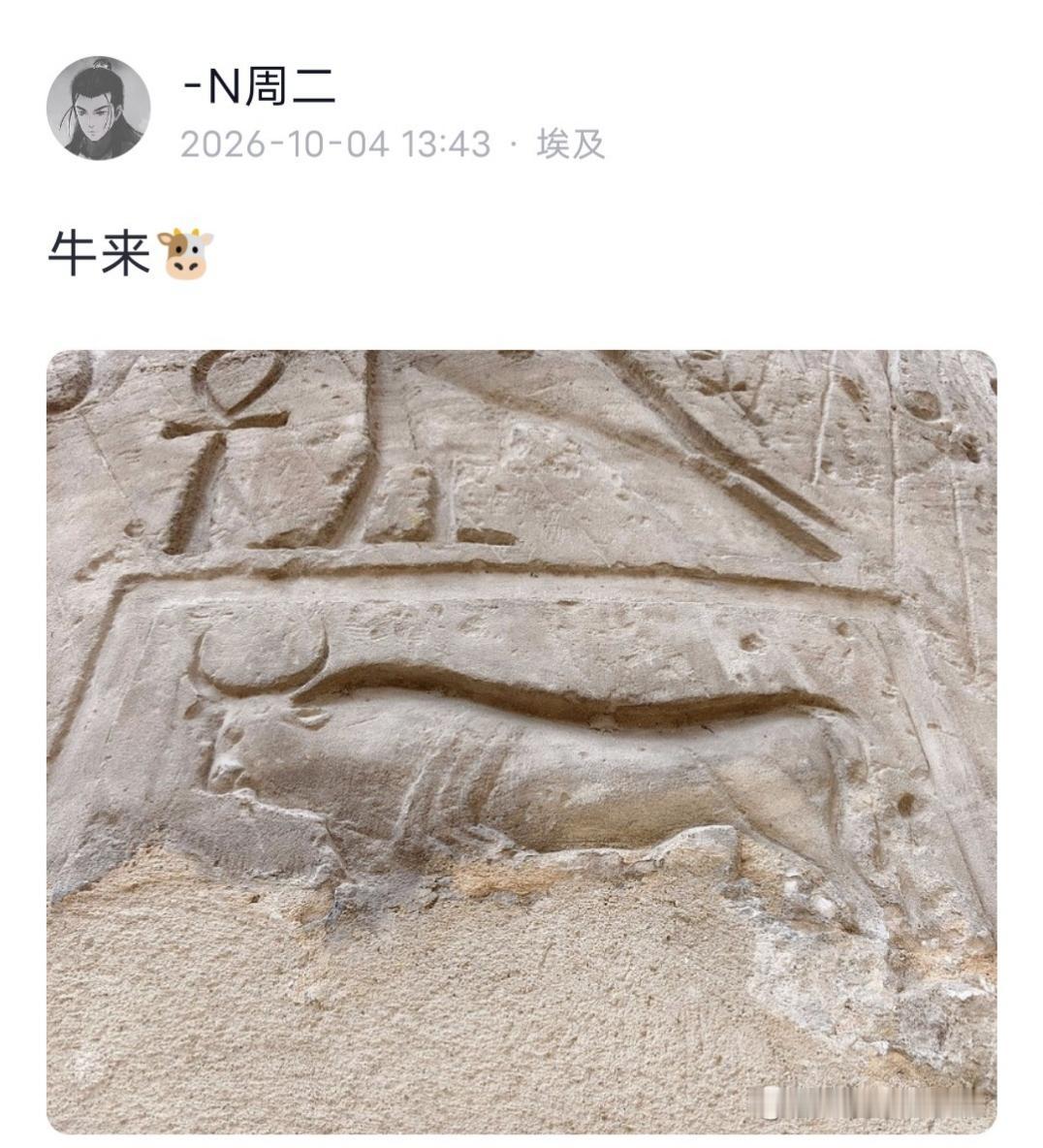 N周二发文：牛来🐮