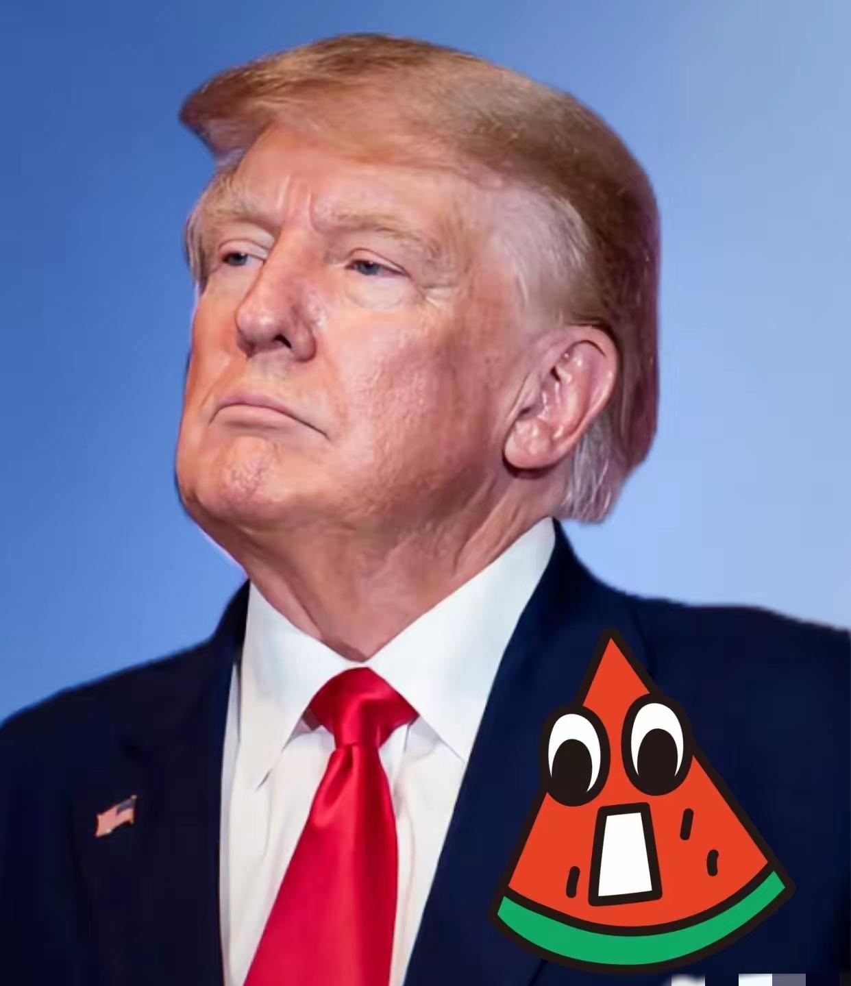 就在刚刚
美国总统特朗普又宣布
11月11日，美国总统特朗普直接放话要起诉英国广