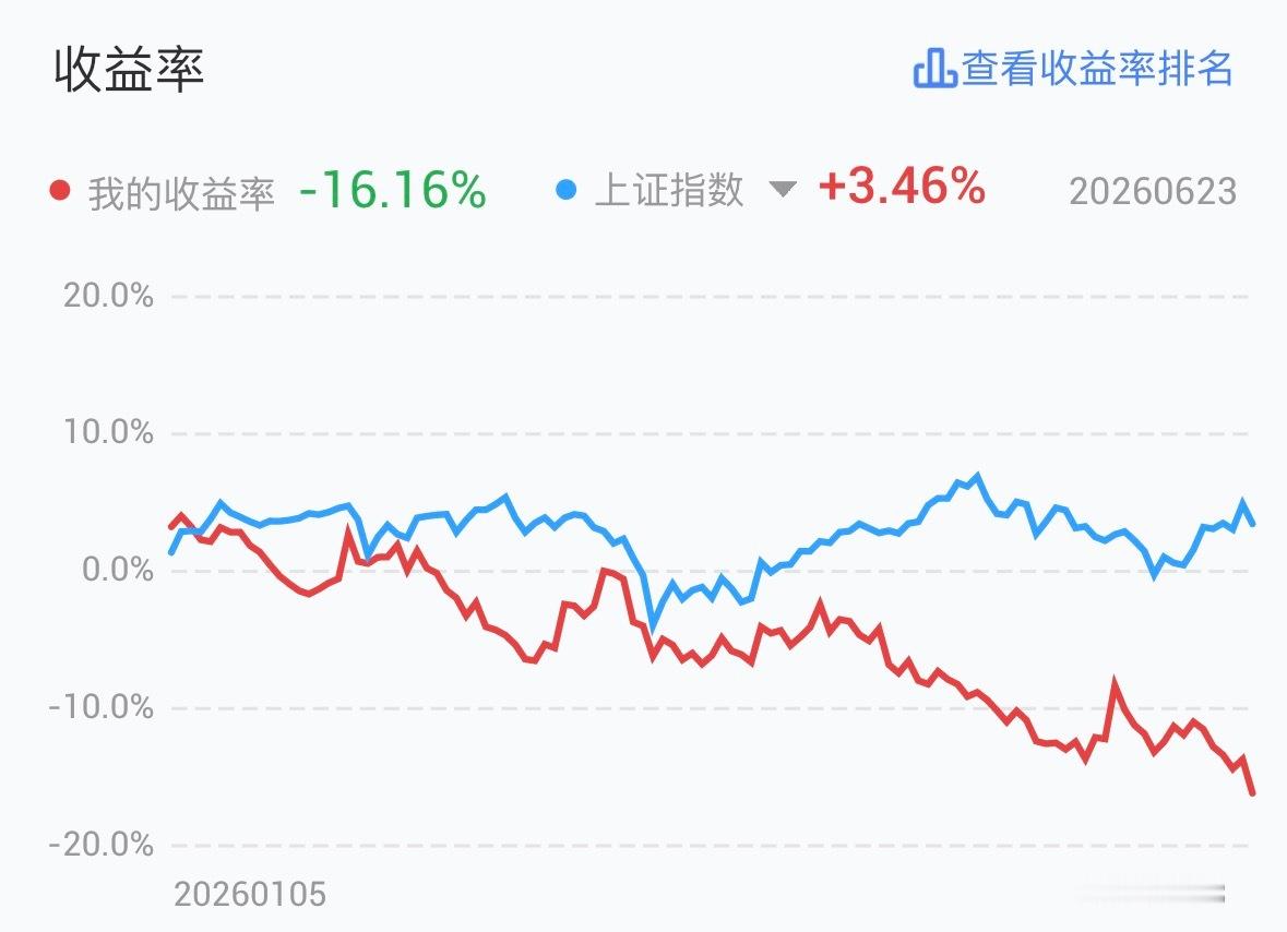 2026年不到半年，就已经把去年一整年的收益全部亏光了，“牛市”真可怕