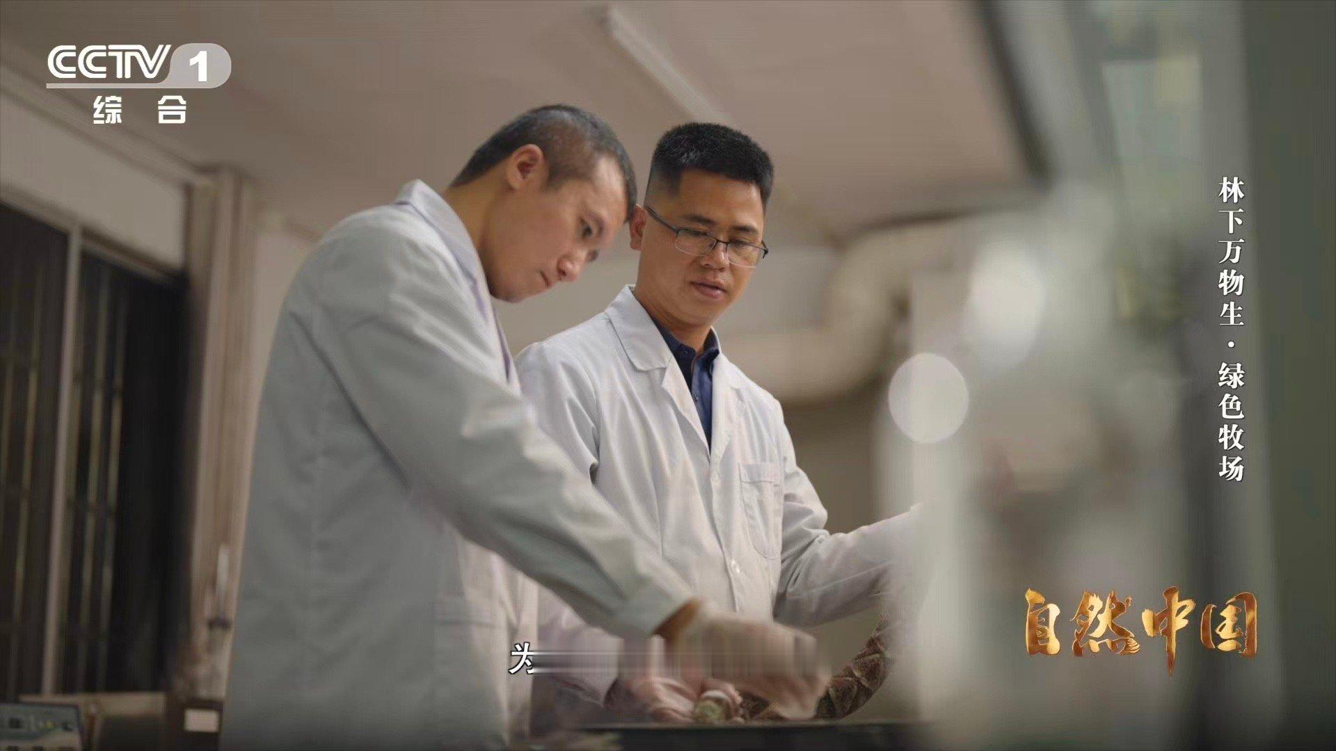 能晒太阳躲雨的仿生态蛇园啥样他们给野生异蛇建了个生态园 蛇类也需要“阳光房”！永