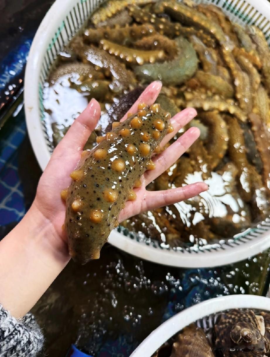 今儿个这事儿，说出来真是又好气又好笑。

本来掐着点去日照博物馆，路过农贸市场想