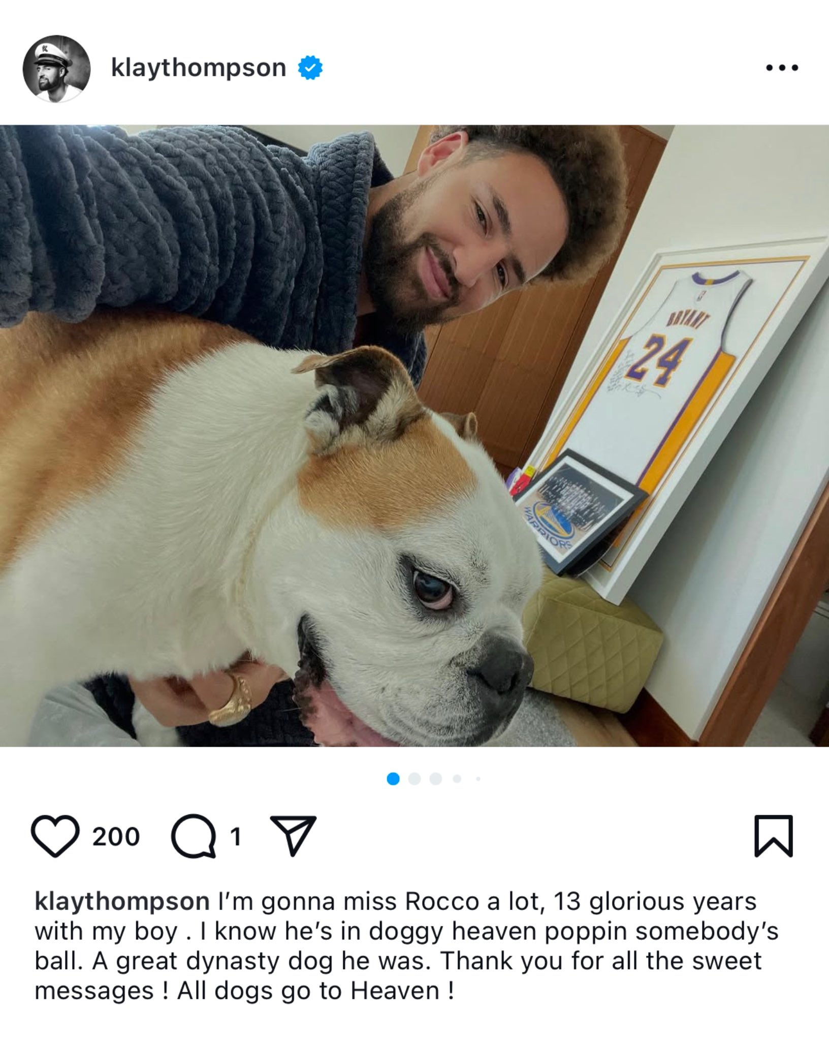 汤普森爱犬接受安乐死 汤神发文悼念爱犬罗科Rocco：我会非常想念Rocco，和