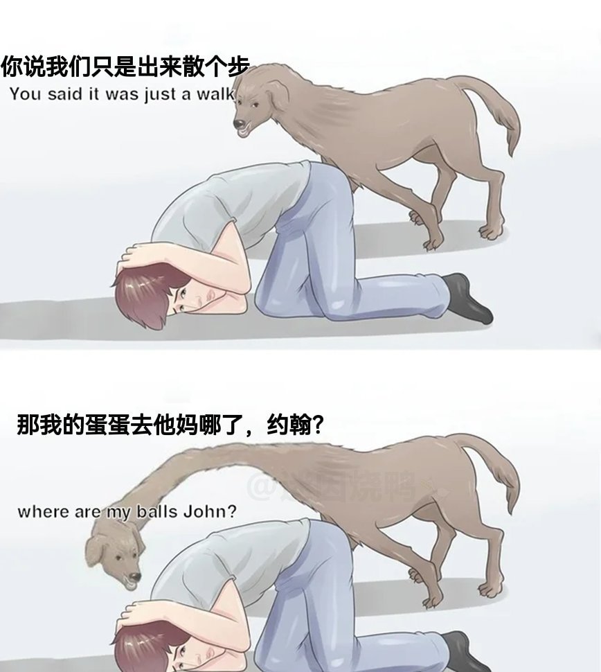 我他妈问你话 