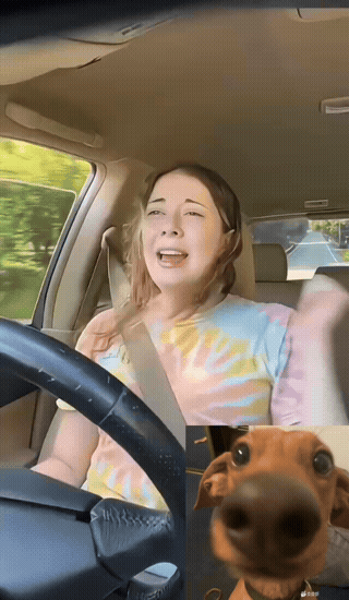 这车不能买，脾气太大，打不得骂不得