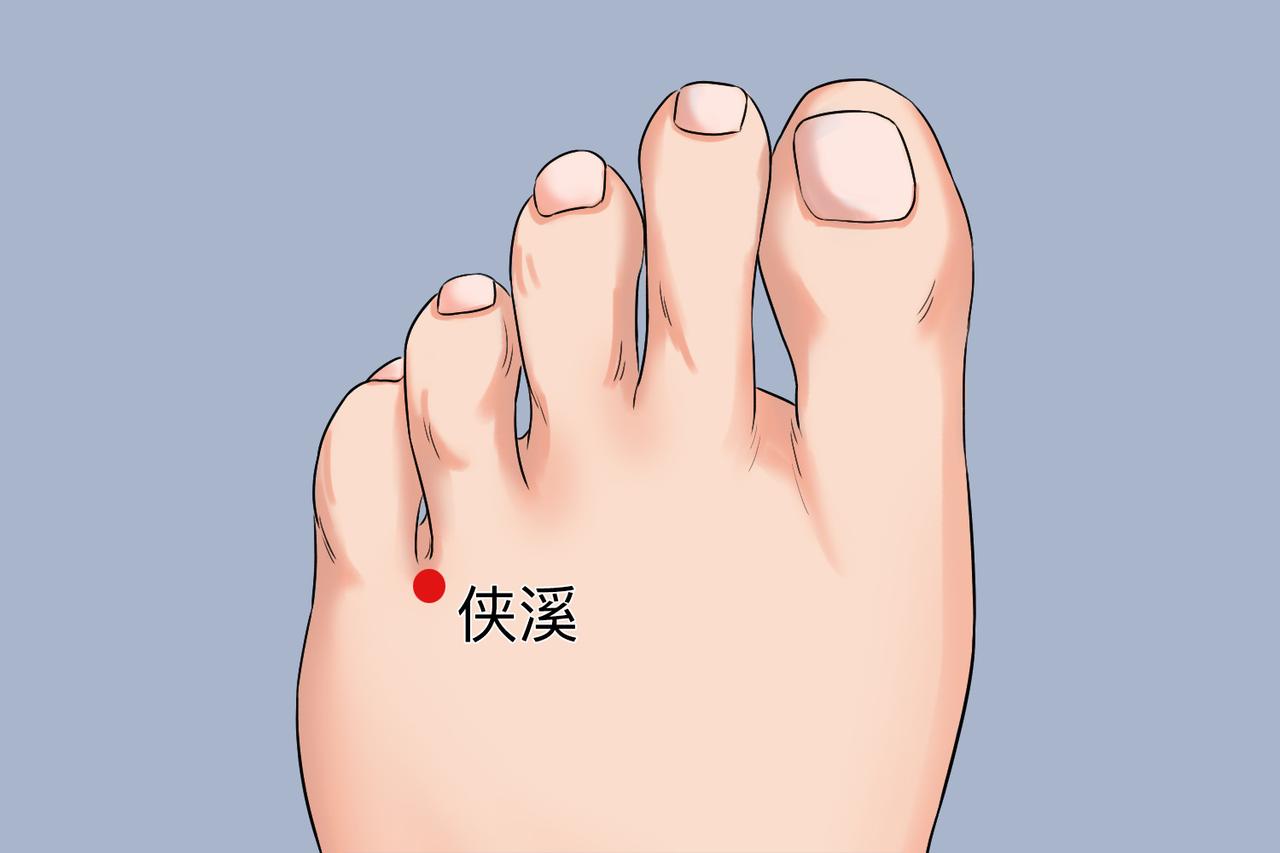侠溪穴：足背灭火小穴，扑灭肝火，改善急躁易怒、耳痛口苦
 
⚠️温馨提示：内容仅