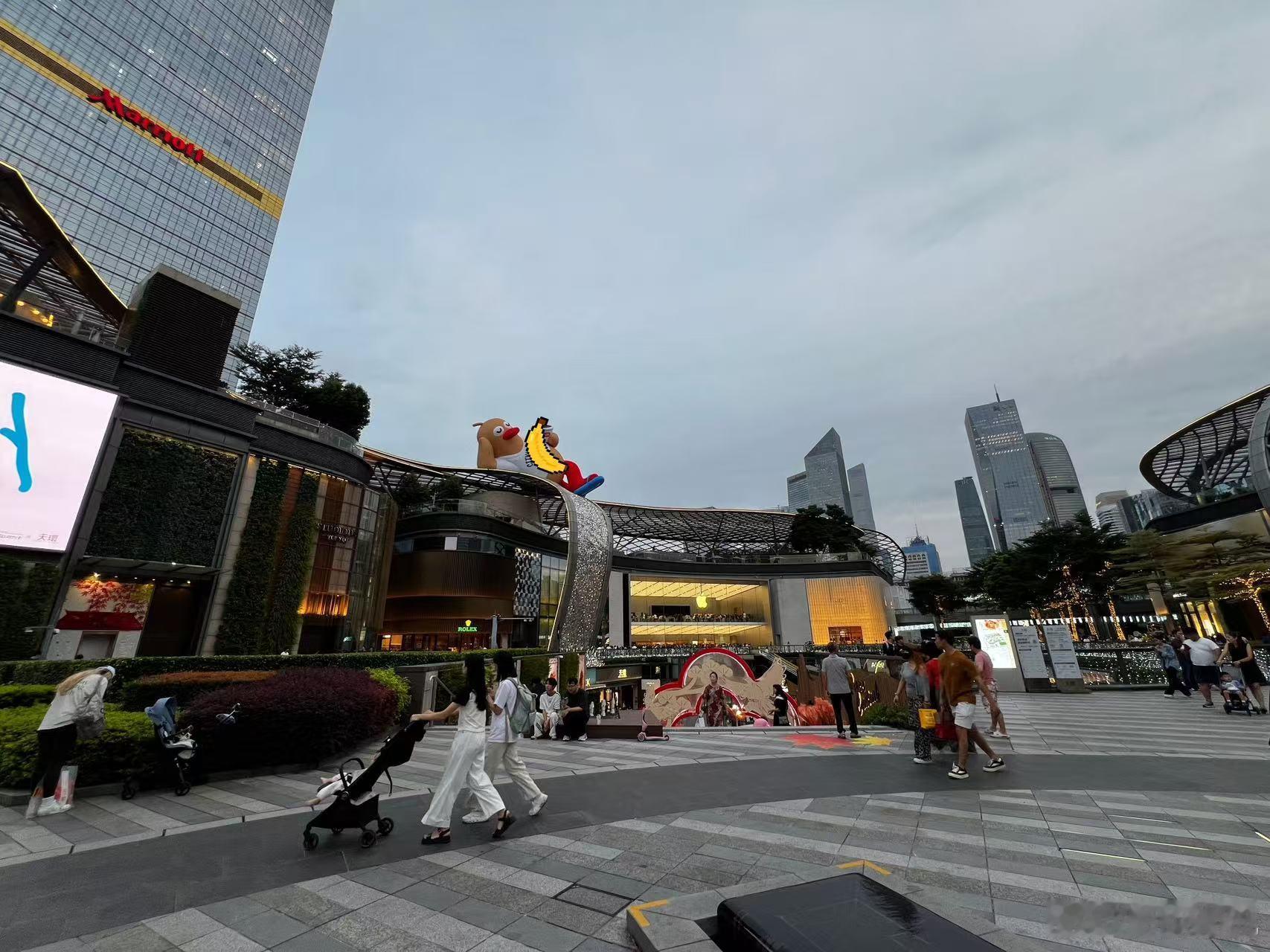 在一只鸭子身上看到了入乡随俗鸭子来了广州都得穿人字拖 看着这只鸭子穿着人字拖，我