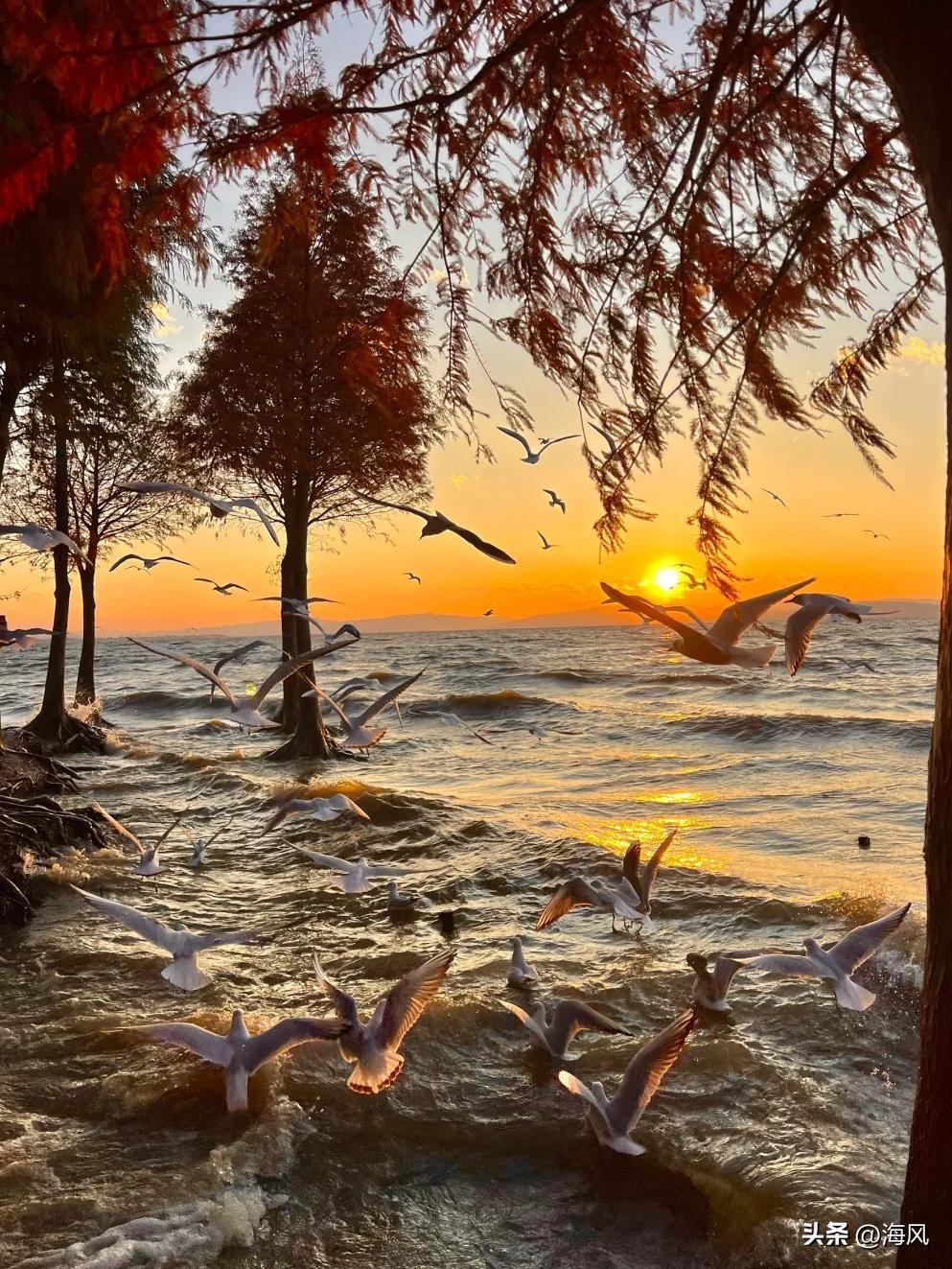 发张你手机里最美的夕阳照可以吗之前冬天拍的