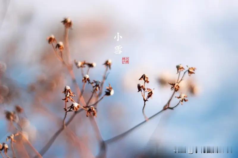 《丙午年小寒节候有寄》
一
岁暮玄冥动北荒，重衾不御九衢霜。
已凝檐柱垂冰剑，未