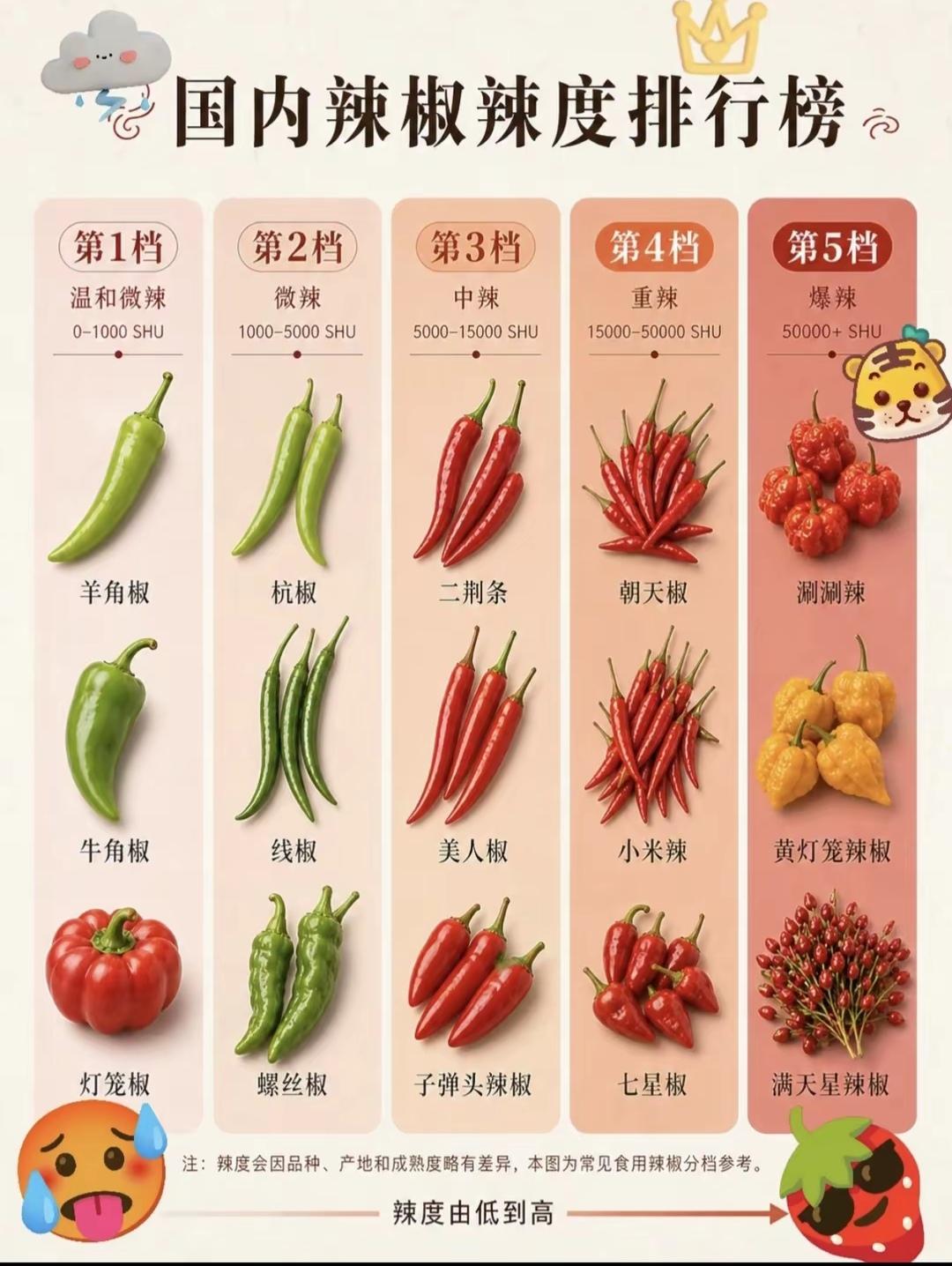 听说吃辣椒能长生，但我一点辣椒都吃不了！
  我和我弟一母同胞，就差了一分半，为