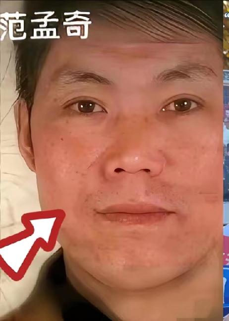 范孟奇，已被执行，可见李先生兄弟俩，之前抗诉失败了，要求追查范妻子的责任，至此事