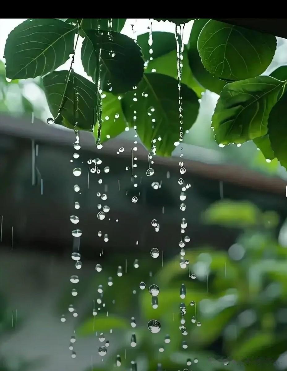 我们大美山西下雨了
记录我的2026
据天气预报预报，前两天就有雨，不过都没有下