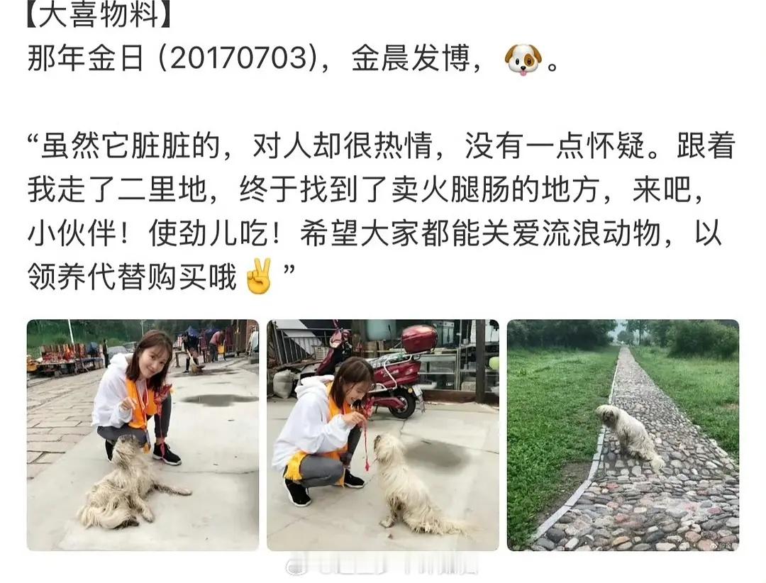 金晨这个事情就这么过去了吗，前一天狗仔还说她没有公关的可能，结果呢，现在也不是没