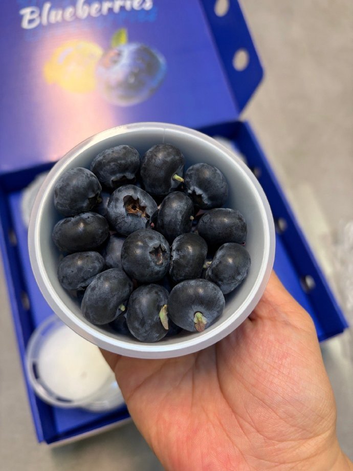 我以前是从来不吃蓝莓的，哪怕很甜的蓝莓多少都会有点酸涩感，我不太喜欢。硬嫂经常给