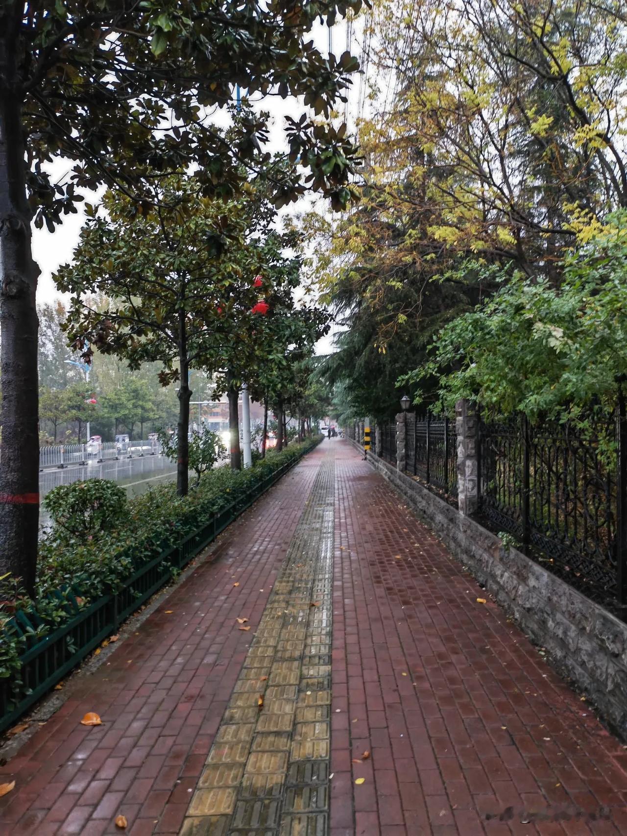 不知从何时开始，很喜欢拍前面的路，春夏秋冬，白天夜晚，雨天晴天，特别是前面无人时