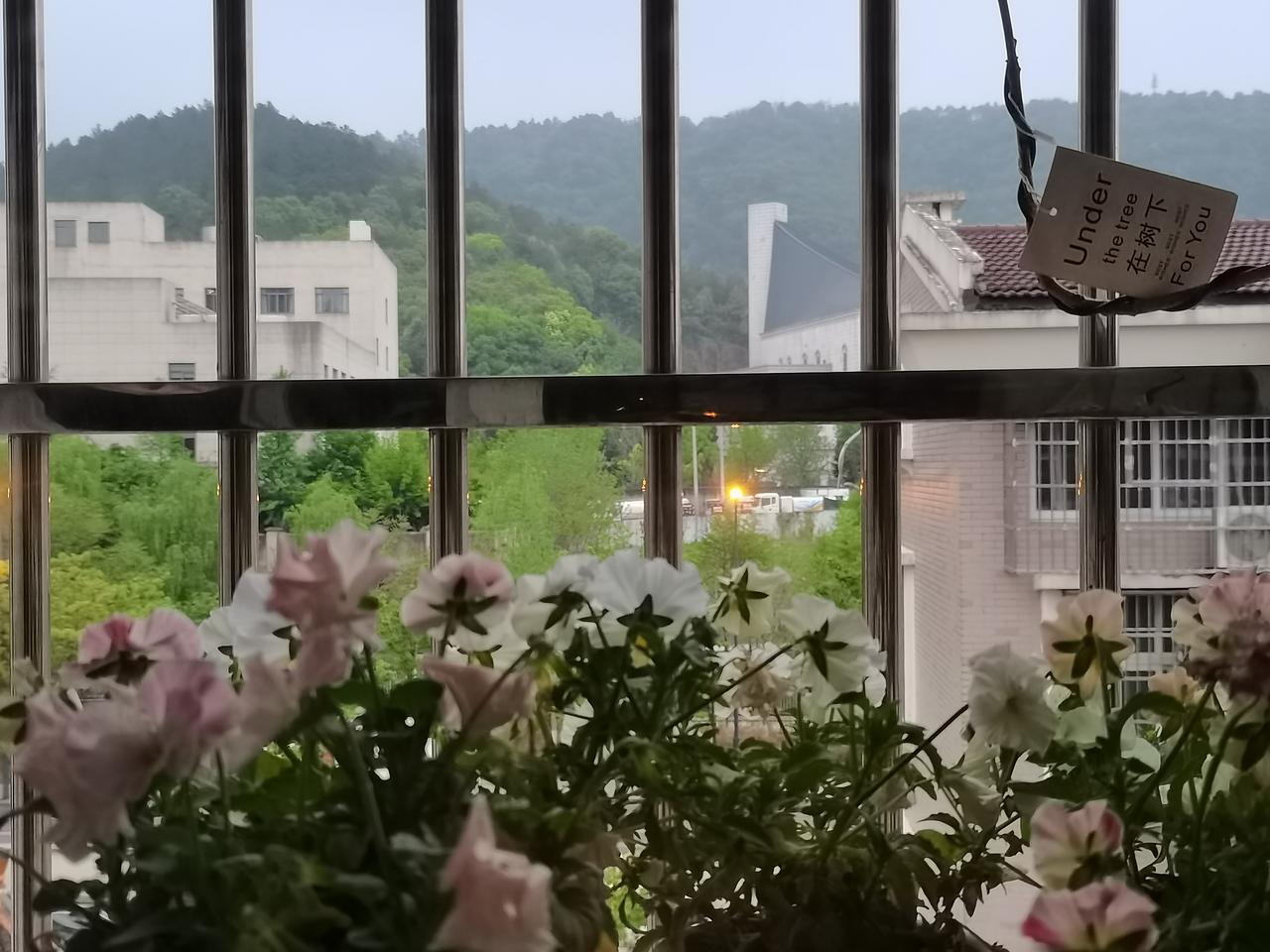 不知是前两天学车紧张的原因，
还是颈椎的问题，
今天头疼到反胃。

小雨还下个不