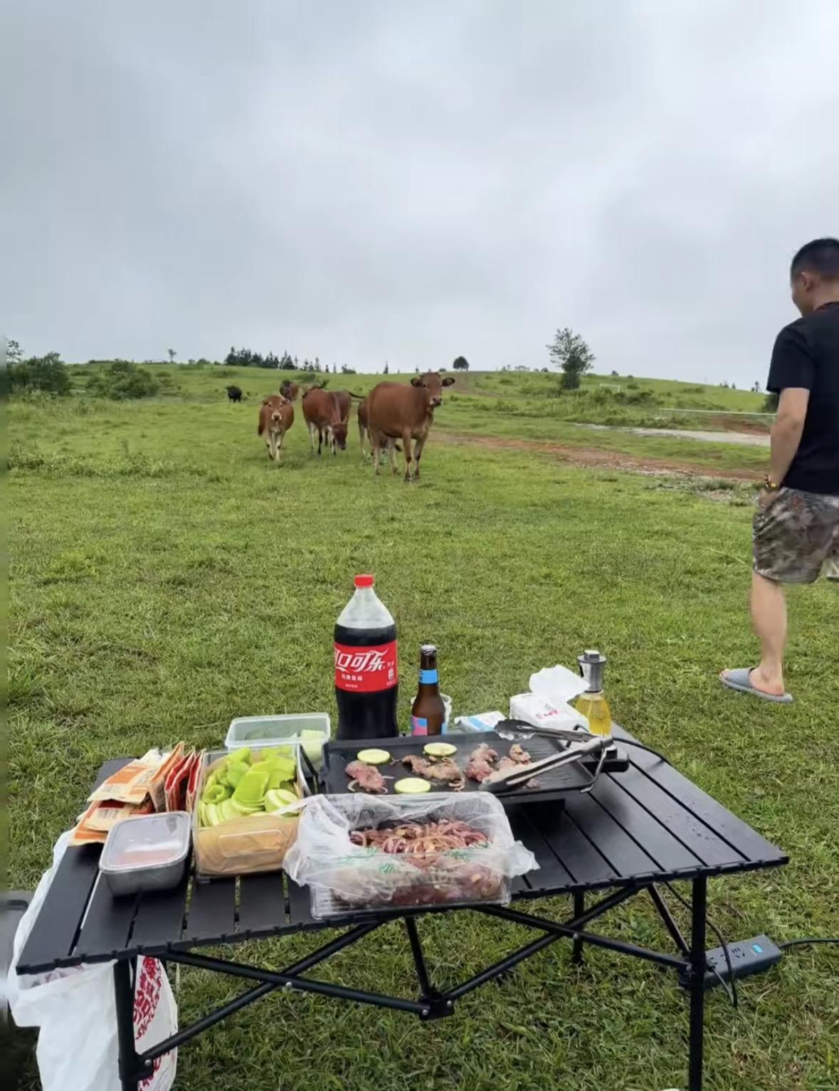 哈哈哈，户外吃烤牛肉被牛发现了，牛哥摇人过来把摊掀了，太搞笑了吧！
我记得牛都会