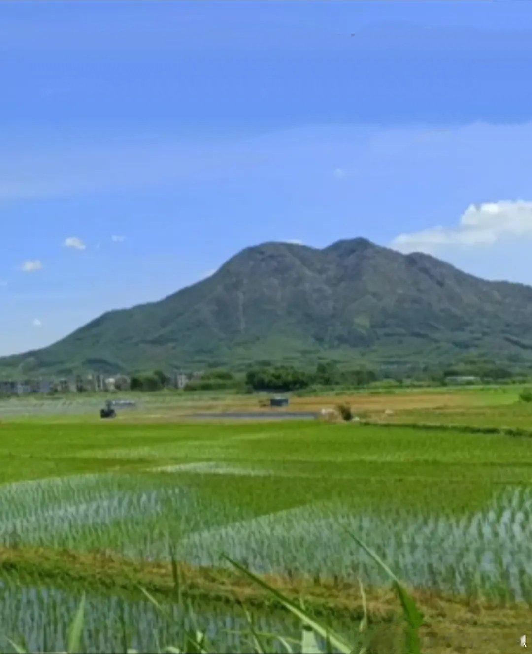 漳州市农业农村局 漳州市财政局关于印发 进一步稳定粮油生产十五条措施的通知各县（