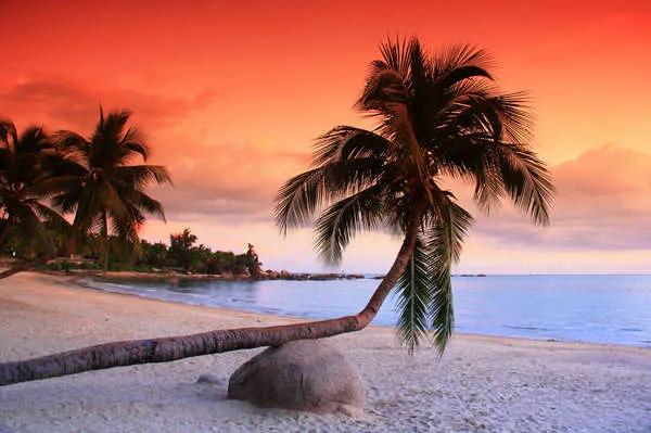 八九年大学毕业分配到海南时，有机会去深圳工作。当初认为海南刚刚建省，百废待兴，或