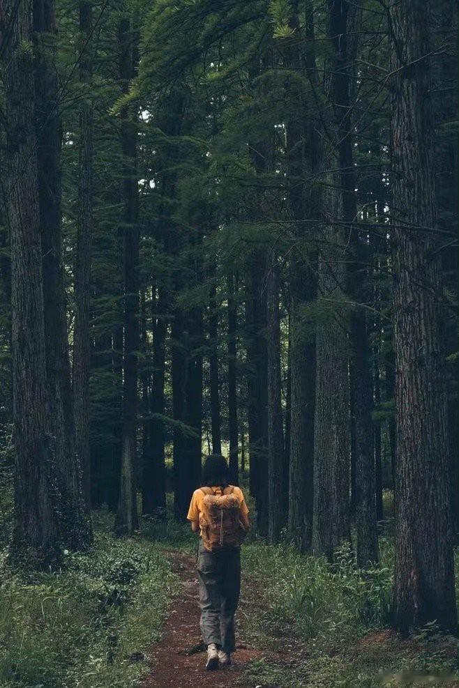 话语教给我们很多，但善恶还是可以自明。话语想要教给我们，人与人生来就不平等。在人