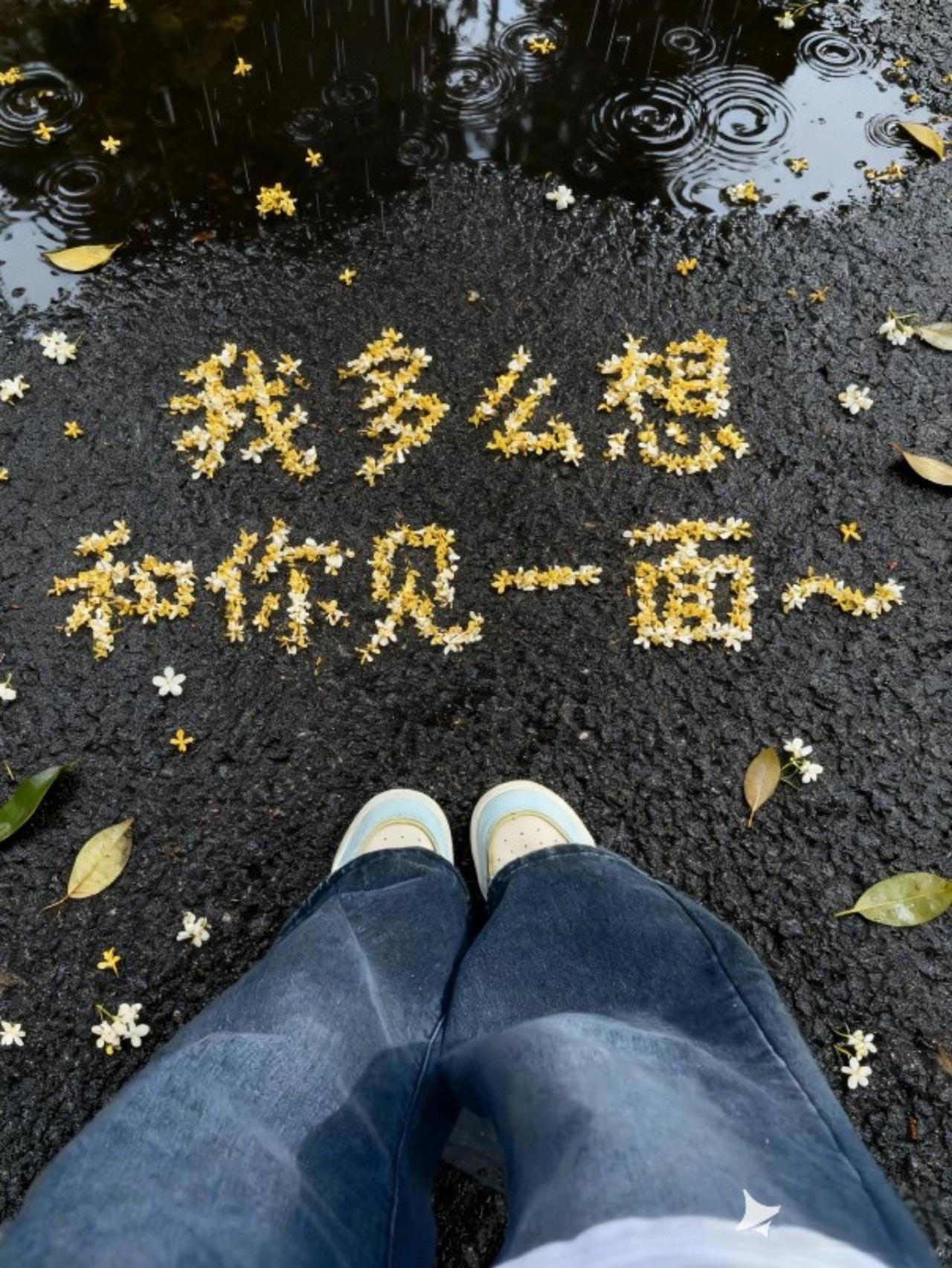 你有没有这样的经历
和另一半并肩坐在沙发上，各自刷着自己的手机。却相顾无言，想说