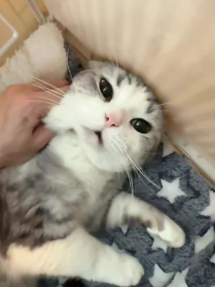 小玩意真好玩