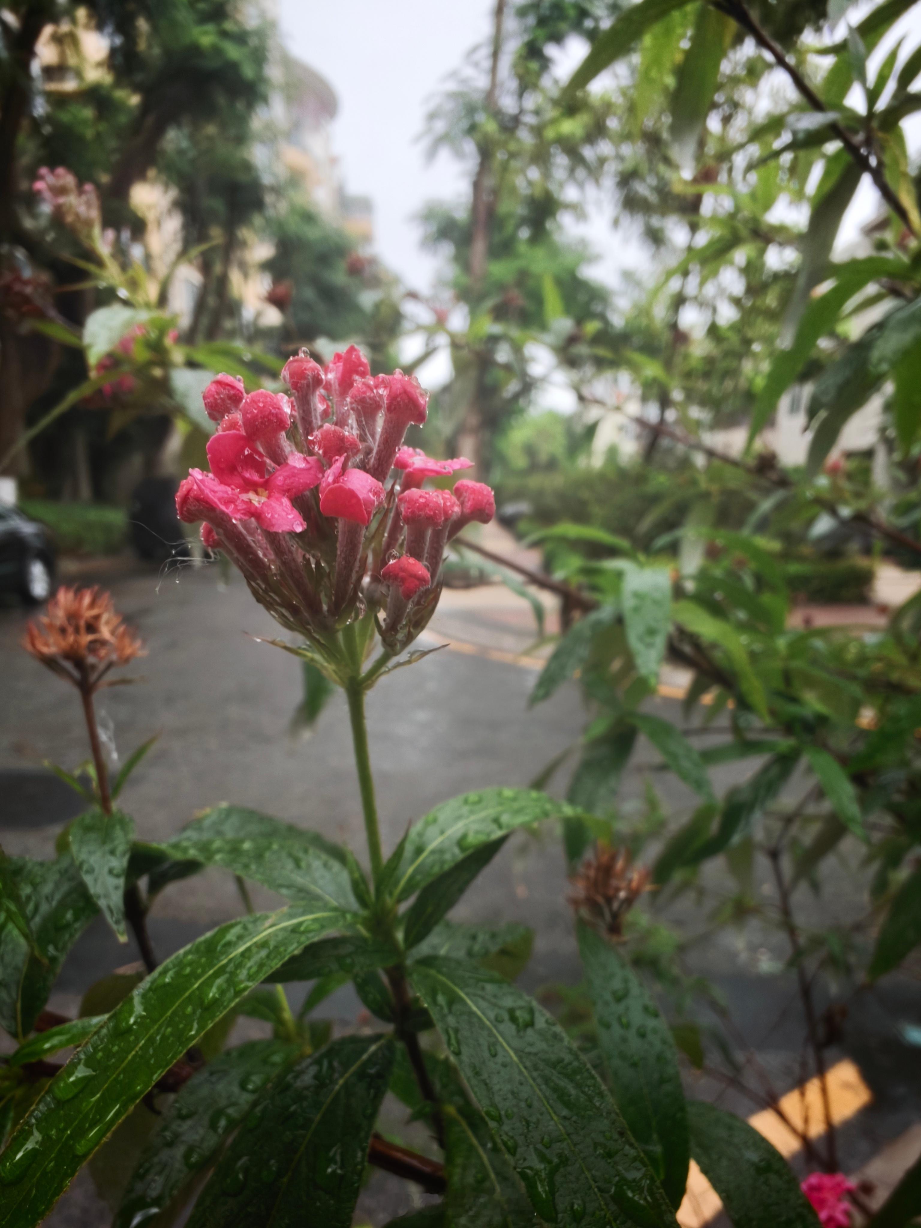 谷歌开发者大会我，要做AI稀缺人类过去很多稀缺能力， 其实只是：高成本。比如：会