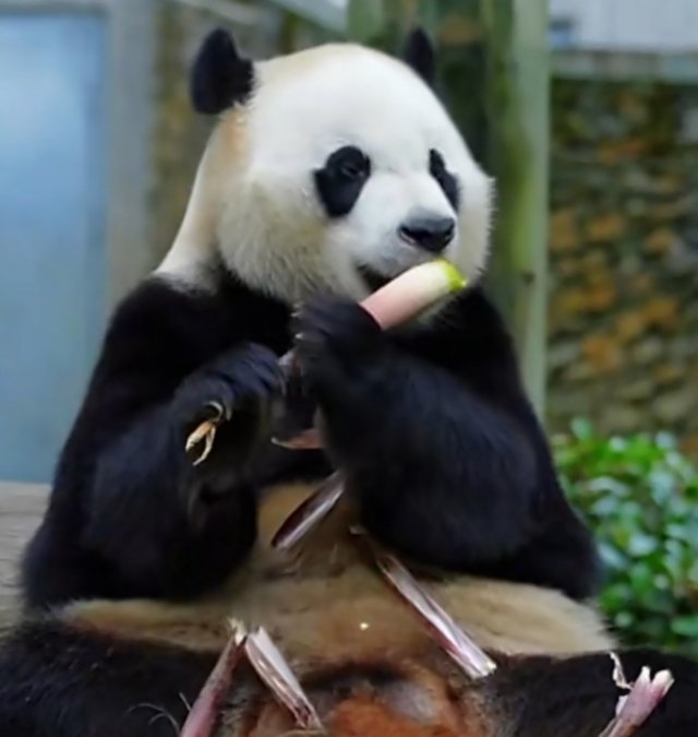 晚安，愿你卸下一天的疲惫，在温柔梦境里好好休息。晚安