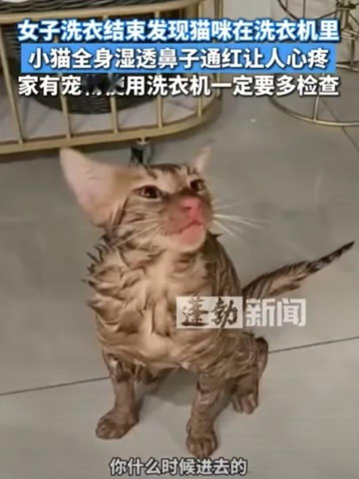 可怜!江苏苏州，女子用洗衣机洗衣，听到洗衣机有异响，她以为是硬币，结果，洗完后，