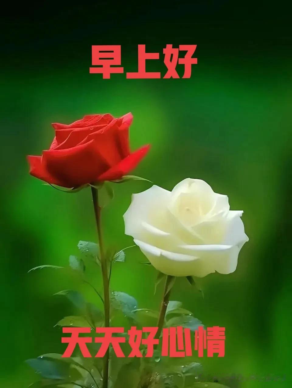 通则不痛，痛则不通

人生堵点很多，困难重重，往往与想不通，看不通，悟不通密切相